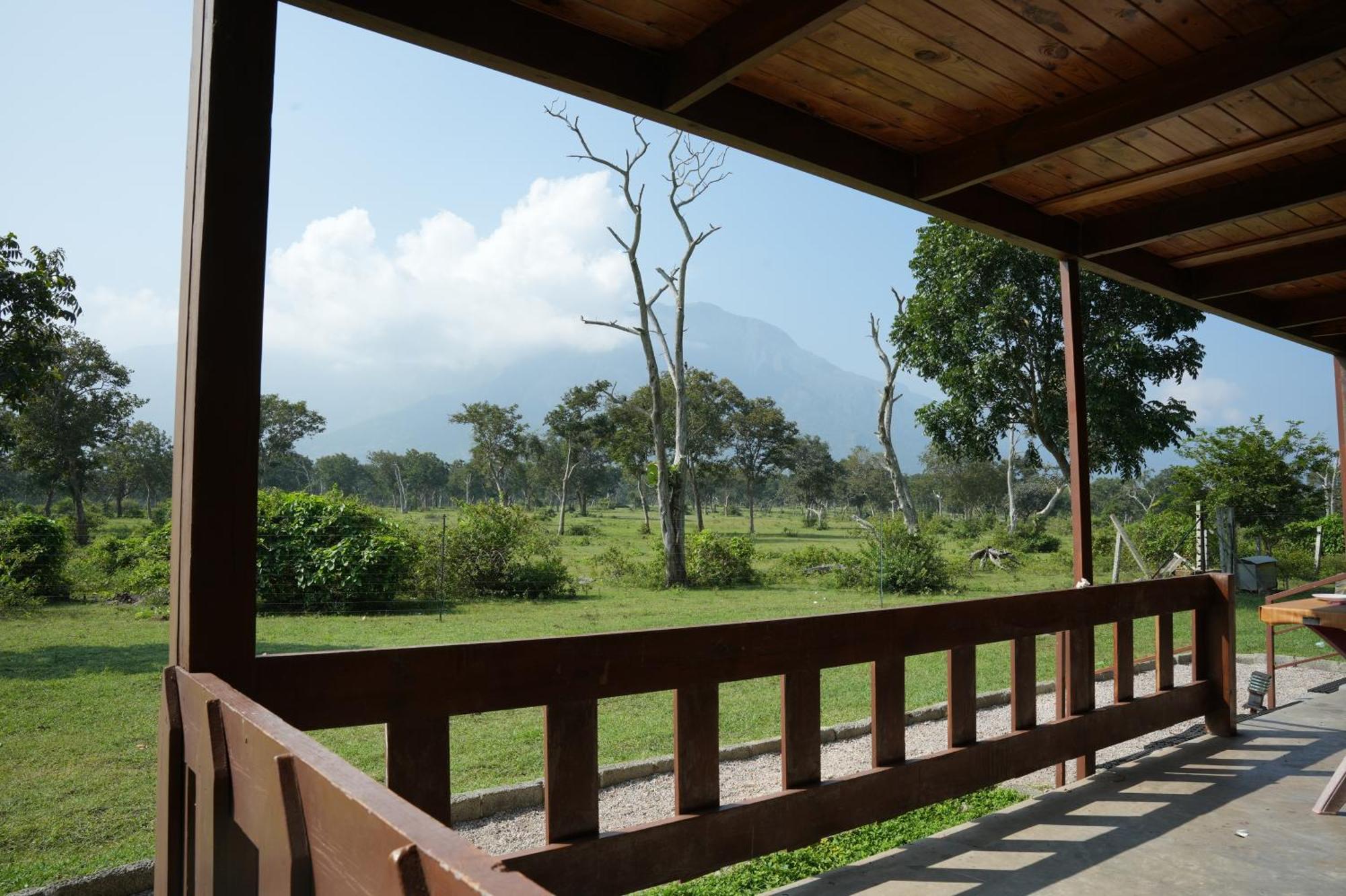 Labdhi Resorts Masinagudi- Stag Groups Not Allowed Eksteriør bilde